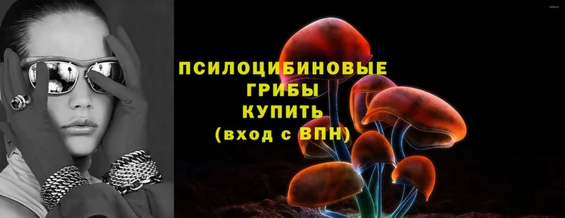 МЕГА ссылка  Кизел  Псилоцибиновые грибы Magic Shrooms 